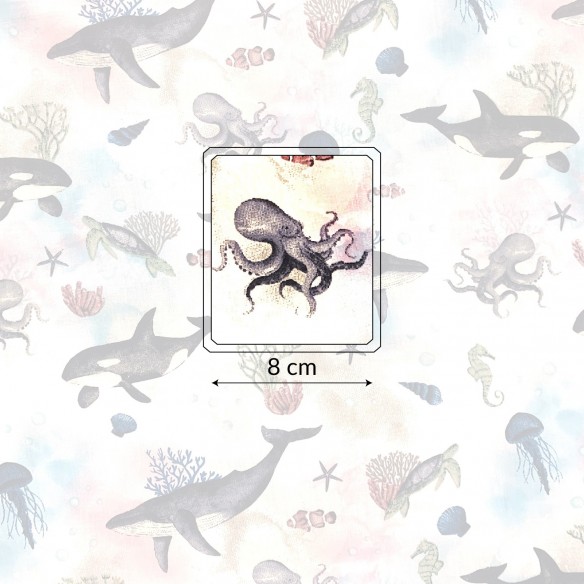 Tissu Coton - Requin et Méduse