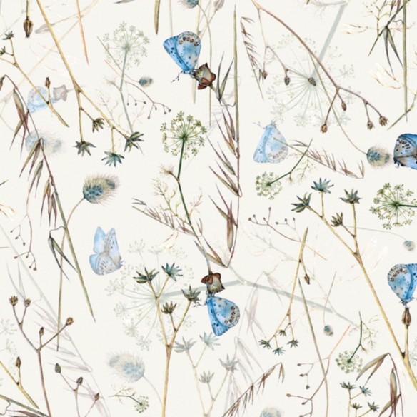 Single Jersey imprimé - Papillons bleus et pré fleuri