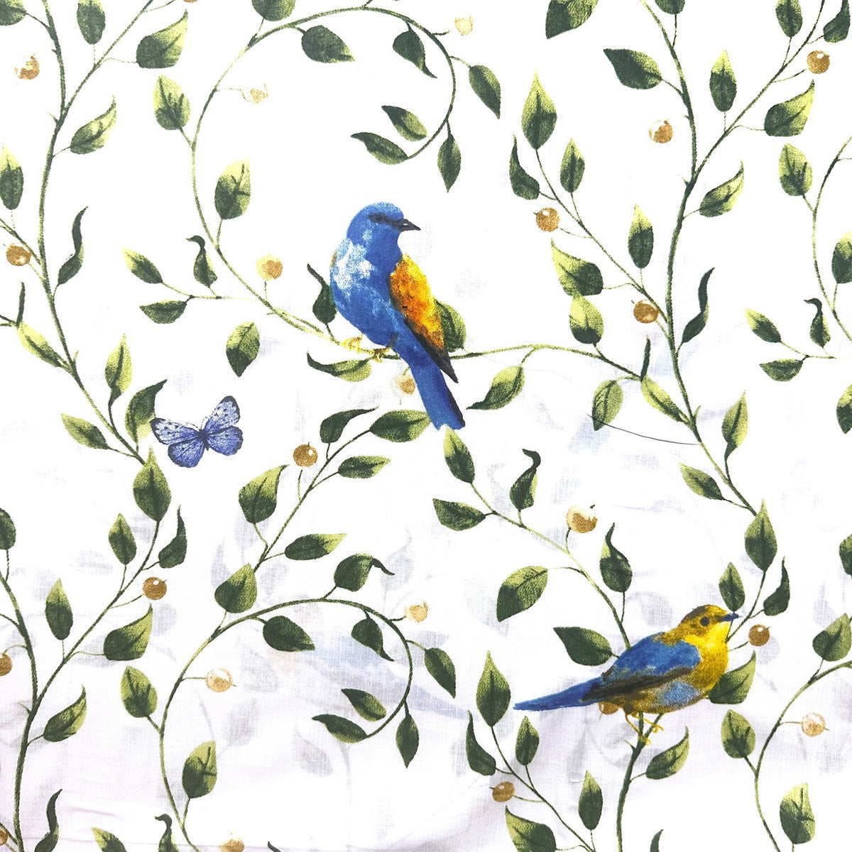 Cotton Fabric - Blue bird