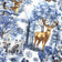 Tissu en coton - paysage de Noël bleu