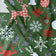 Tissu en coton - Flocons de neige et rennes de Noël, vert