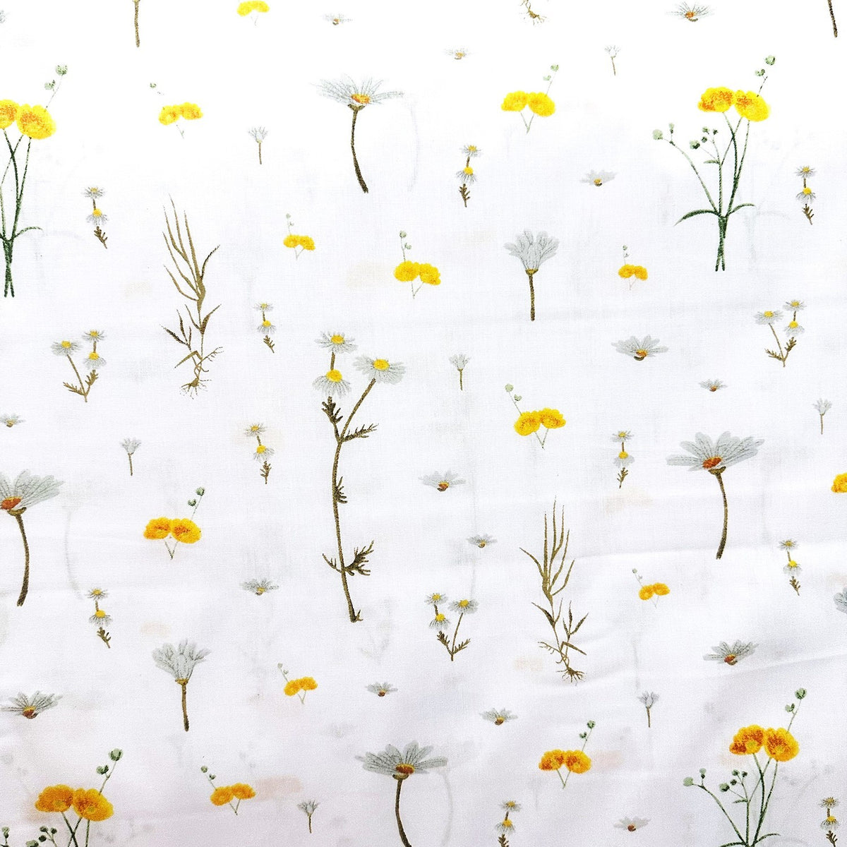 Cotton Fabric - Common daisy