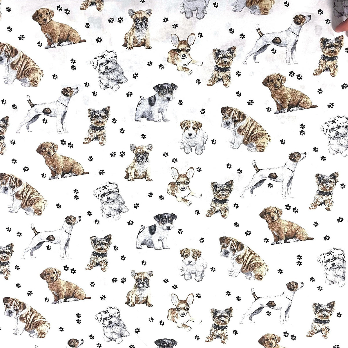 Cotton Fabric - Dogs Paws on White Background