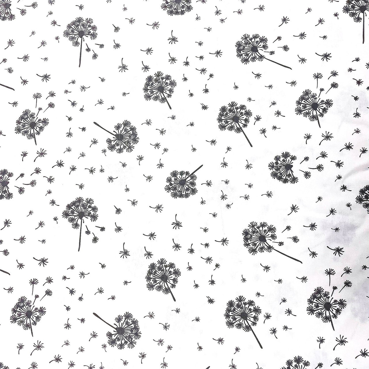 Cotton Fabric - Grey Dandelions on White