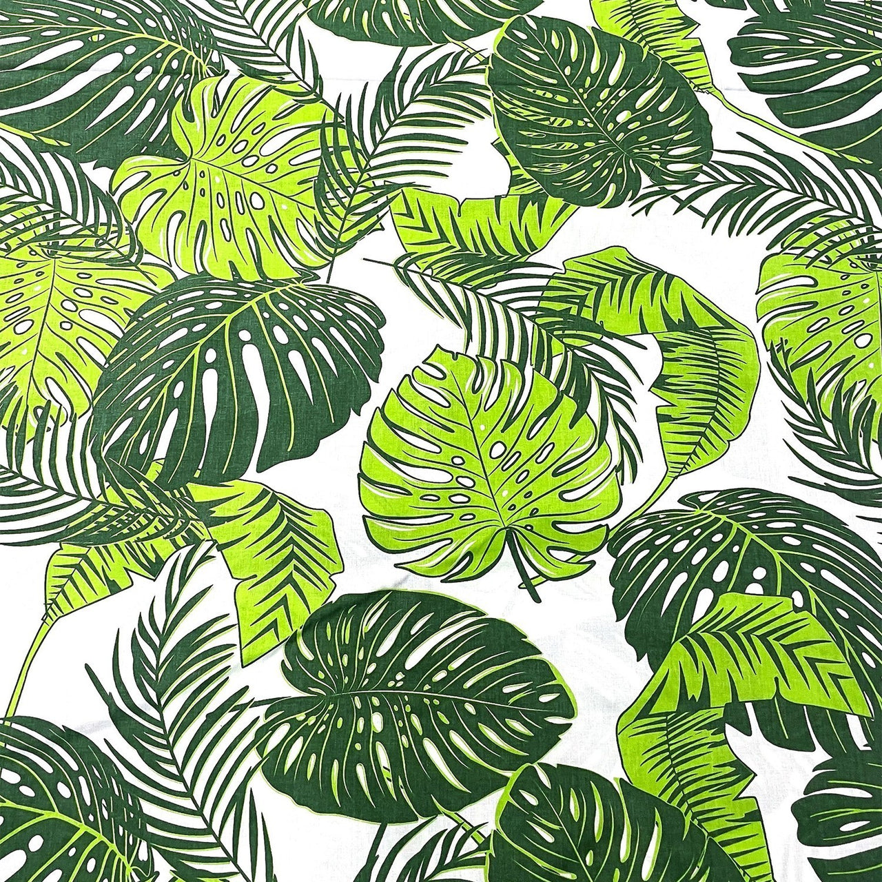 Cotton Fabric - Monstera on White