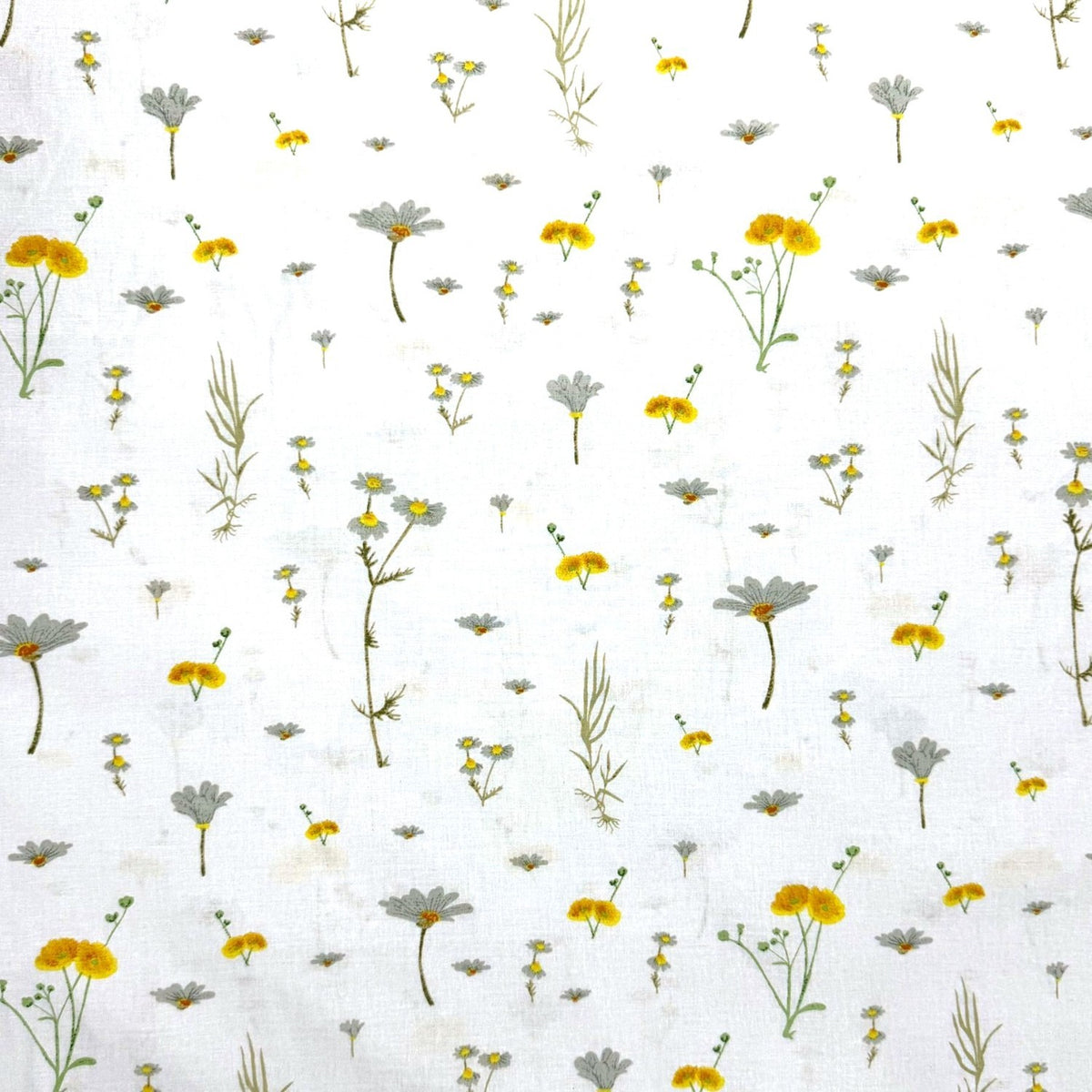 Cotton Fabric - Summer chamomile on White - PINaPIN